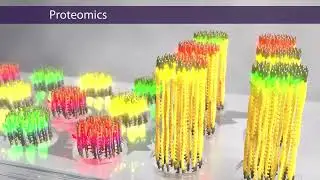 Key Reagents for Sequencing Workflows | A Biotech Animation