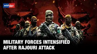 Rajouri Attack: Security And Para Forces Intensify Operations After Jawans Lost Lives In J&K