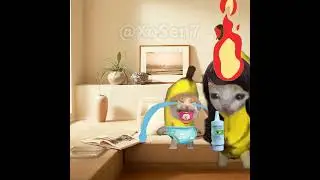 BANANA CAT 🍌🐱 BABY USE EYES DROPS AND GETS HIT 