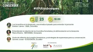 Dia 3 - Perspectivas técnicas y científicas para monitorear la Amazonia