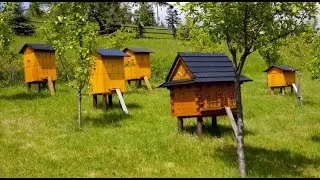 Modern Methods of Keeping and Breeding Bees/Beekeeping for Beginners