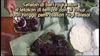 Tapai Ketan hitam Ala siswa SMP | Fermentasi Makanan | Praktik IPA | #belajaripa #smppgri3jakarta