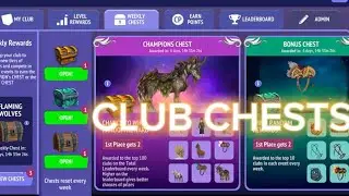 Champion chest - Horse Riding Tales