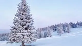 ИЛЛЮЗИЯ ВРЕМЕНИ