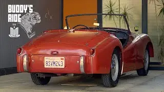 Buddy's Ride - Triumph TR3