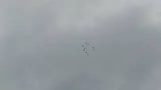 Отправить