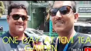 Temi Tea Garden # South Sikkim #