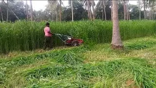 রিপার কাটিং মেশিন, ripar machine @new_world