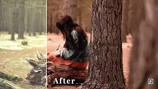 Rich Autumn Lightroom Presets & Video LUTs