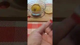 Как сохранить отрезанный лимон свежим