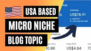 USA Based Micro niche blog topics 2021 | Micro niche website ideas | website idea for blogging