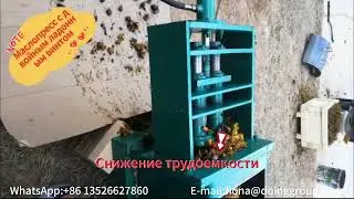 Двухшнековый пресс для пальмового масла, пресс для пальмового масла#технология #оборудование
