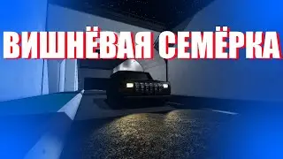 ВИШНЁВАЯ СЕМЁРКА SCP SL