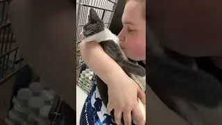 Rescued colony cats get comfy inside