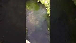 The Itchen River