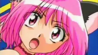Tokyo Mew Mew - A Never Ending Dream