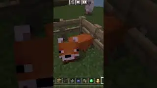 ЧТО ВЫПАДАЕТ С ЛИСЫ В MINECRAFT #minecraft #shorts