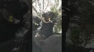 güzel günlerdi ;)