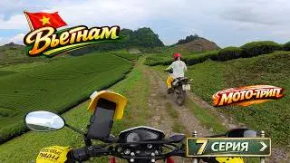 Moc Chau Tea Plantations