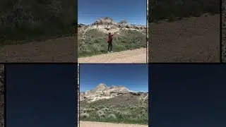 Our Trip To The Dinosaur National Park Alberta