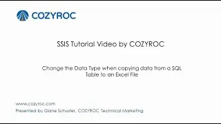 Changing the Data Type when copying data from a SQL Table to Excel  - 