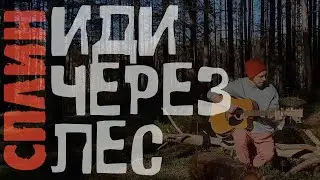 ИДИ ЧЕРЕЗ ЛЕС / Сплин _ кавер