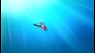 Preview 1982 Fish