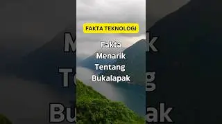Fakta menarik tentang bukalapak #shorts #onlineshopping #internet #starlink #technology