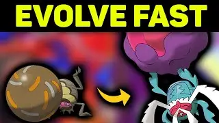 How to evolve Rellor FAST!