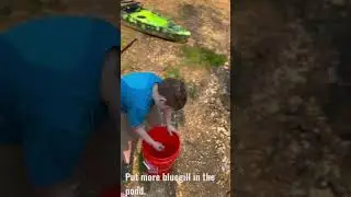Look at em grab those fish like a man! Lol #fishing #prouddad #pond #outdoors #fishinglife