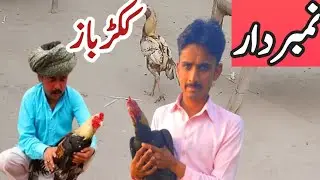 Number daar kokar wala |  number daar funny | numberdar new episode 2021| number daar kokar Chor|