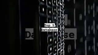 Top Five Database | Database in programming | 
