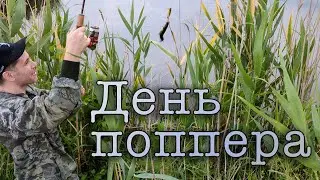 День поппера. Клевала по красоте!