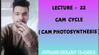 CAM CYCLE ( CAM PHOTOSYNTHESIS)