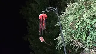 Wind Chime at Night and Hooting Owls