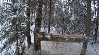 СОЛОНЕЦ ДЛЯ ЛОСЕЙ в глухозимье