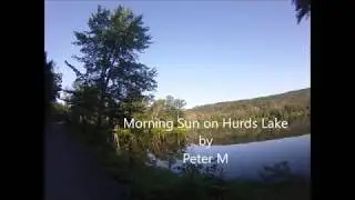 Morning Sun 1