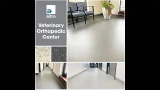Altro case study | Veterinary Orthopedic Center