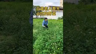 古代人傳承下來的野菜食譜！對於失眠、腹脹等能幫大忙！您瞭解多少 | Healthy wild vegetable recipes
