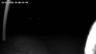 Weird Security Camera Video of My Front Yard