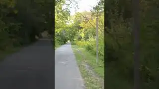 Many Things to See- beautiful trail