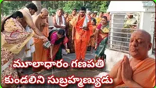 మూలాధారం నుండి సహస్రారం చేరుకునే మార్గమే సుబ్రహ్మణ్యుడు! ది.05.11.24 #self #awareness  /RAMANA/ 🤟💥🤟