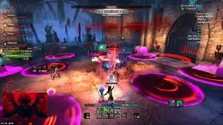 Red Petal Bastion - of the Silver Rose - Magicka Warden - Elder Scrolls Online