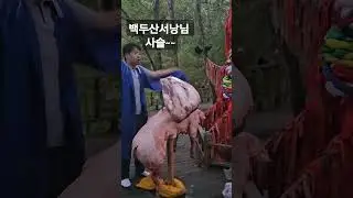 #shorts #백두산#서낭#통돼지사슬#도빈도령#신점