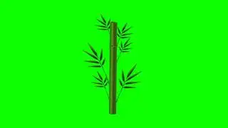 Green Screen Bamboo Tree Animations || Chroma Key Bamboo Tree || No Copyright Claim || Free To Use