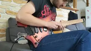 The Animal - Steve Vai - Guitar Cover