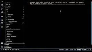 The --org command line argument must be specified to recreate project.