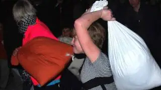 Pillow Fight Gone Wrong | ZapRoot