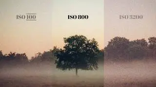 Native ISO Explained: The Setting Everyone Gets Wrong