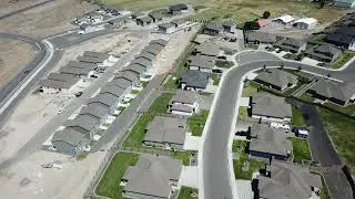 Neighborhood 08/09/2020